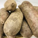 합심농장 이미지