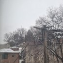 하나방역종로지사
