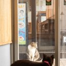 성서 문화의 거리 상점가 | 일본 여행 후쿠오카 쇼핑 추천, 캐널시티 옆 카와바타 상점가 후기