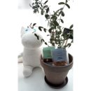 스튜디오이뎀
