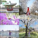 상리삼거리~금은모래캠핑장 제2주차장 구간 | 경기도 여주 가볼만한곳 남한강 출렁다리, 세종대왕릉 외 봄꽃구경 여행 코스