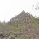 관광농원 이미지