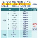 돌핀리조트
