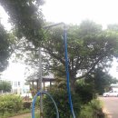 남원1리 이미지