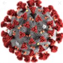 최강학원 이미지