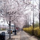 소래화원 이미지