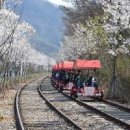 강원도 경강역 레일바이크 타고 추억 만들기! 이미지