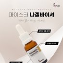 레푸스 네이버블로그