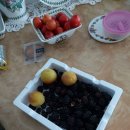 흙내음풀내음 이미지