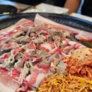 돈이돼지 이미지