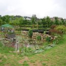 원주허브팜식물박물관 이미지