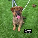 몽실몽실 이미지