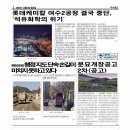롯데케미칼 여수2공장 결국 중단, ‘석유화학의 위기’