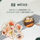 더 도도하개 | 애견간식! 수제간식 쇼핑몰, 도도하개 도도하냥에서! :-)