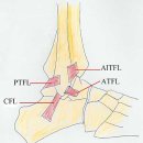 프랭크버거 상봉역점 | 2026.04月3주 차 : 한남동 전시 히무로 유리, 재활치료, 부정적 감정 2020 스물스물에 대하는 자세
