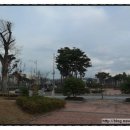 마전숲공원(서부제3호공원) 이미지