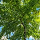 득량중학교 이미지