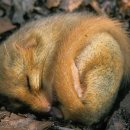 CW-1800-01 이미지