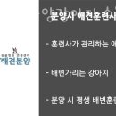 착한애견분양강아지수원광교