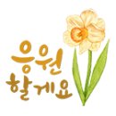 지나타로 이미지