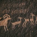 미술+독서탐험노트(토론) | 초등 교과 연계: 선사 시대 동굴 벽화로 배우는 인류의 첫 기록과 소통