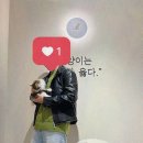 대전 고양이분양 퍼스트캣 대전점 이미지