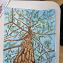 수채 드로잉 이미지