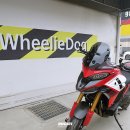 윌리독(wheeliedog) 이미지