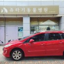 쥬라기동물병원 이미지