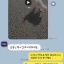 금빛동물수술센터 이미지