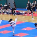 MTA코리아태권도 이미지