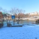 참새의 정원 이미지