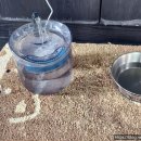 루프앤독 이미지