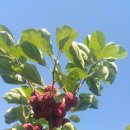 함라농장 이미지