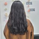 메이에르진 이미지