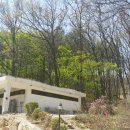 뮤즈캠핑장 이미지