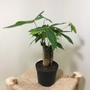 옹기종기 이미지