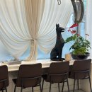 대동주상가 | 해피니언 창원상남점 염색 후기｜상남동미용실에서 컬러 만족한 이유