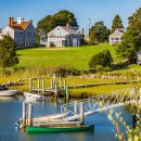 Showy pet shop 이미지