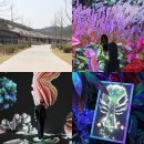 생성도시 - 가족 | 경주 신상 핫플 미디어아트 라원 디지털 식물원 4월 입장료 후기