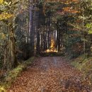 경승목장 이미지