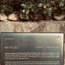 W(hole) 이미지