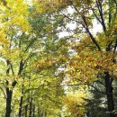 둘레길 동물병원 이미지