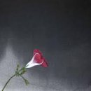 그런날 이미지