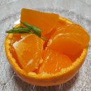 느림보농장 이미지