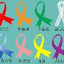 리본 이미지