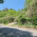 행복나무공인중개사사무소 이미지