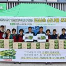기린농협 상남지점 | 도심 한복판에서 만나는 봄의 맛! '도심속 산나물 축제'에 다녀왔어요