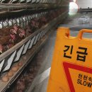 오리종합관리 이미지