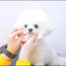 예당케어 이미지